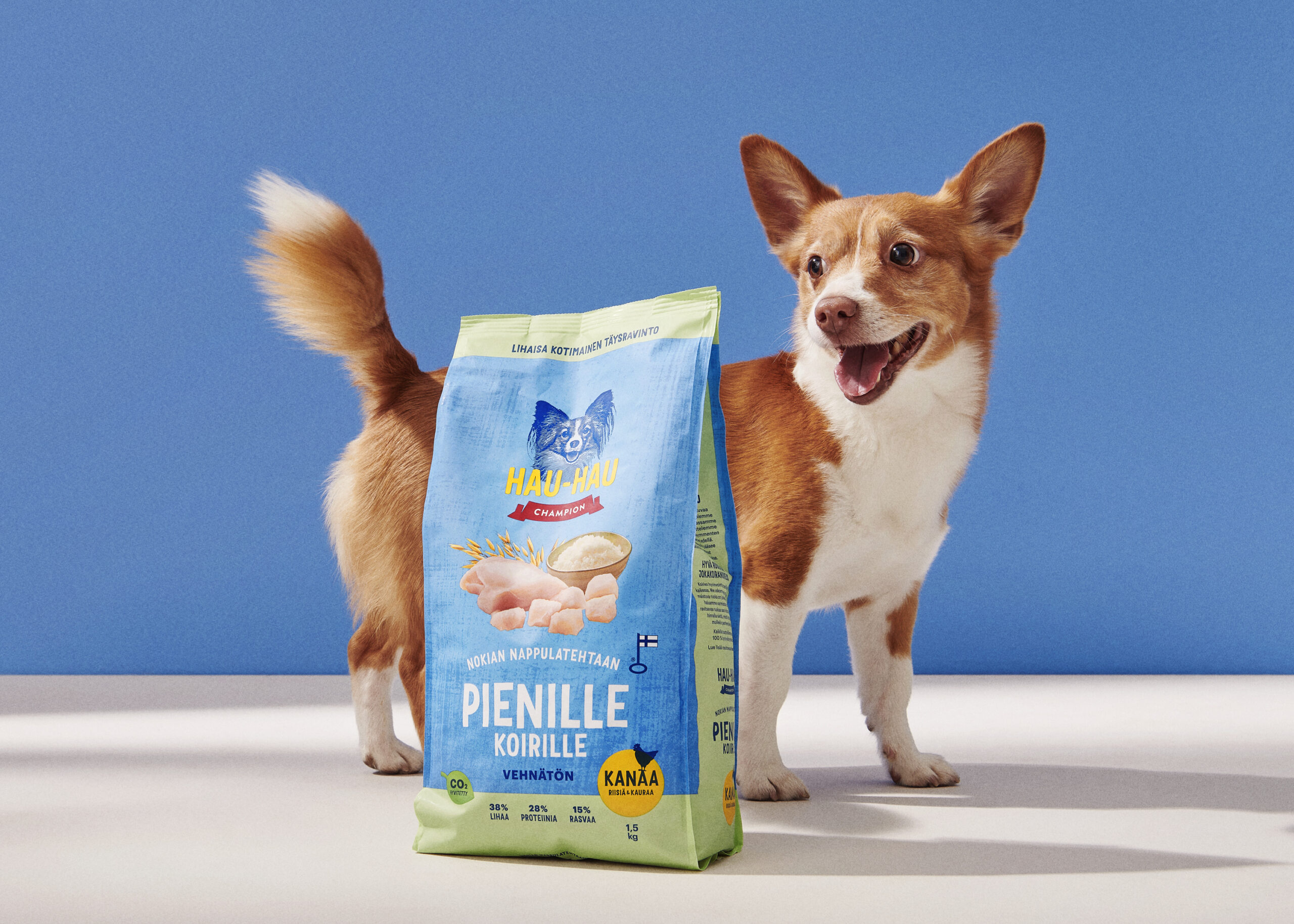 Iloinen corgi pitää suurta Hau-Hau Champion koiranruokapussia sinisellä taustalla.